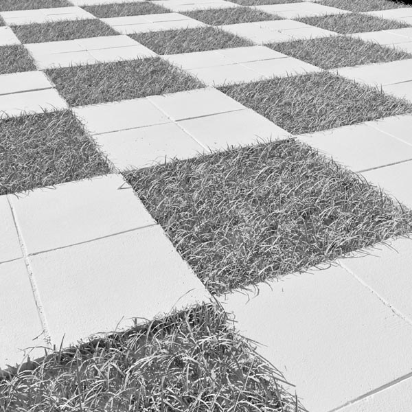 Decorative Floor3