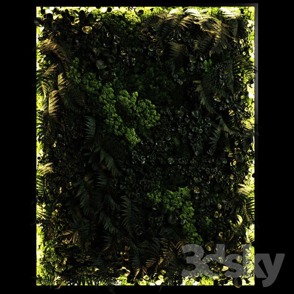 Fytowall 21534