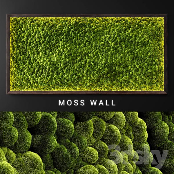 Moss Wall 23688