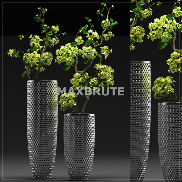 chau cay 3dsmax maxbrute pro vip (2)
