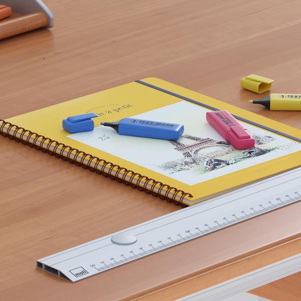 moll_table_02