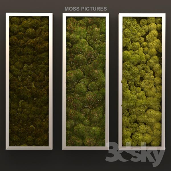 p[dfmoss picture