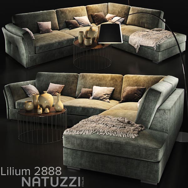 Sofa_natuzzi_Lilium_main