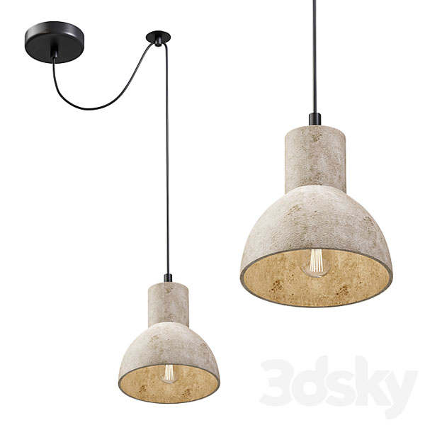 0582looster.jpg