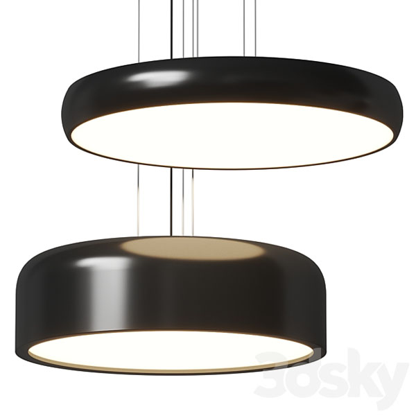 0623looster.jpg