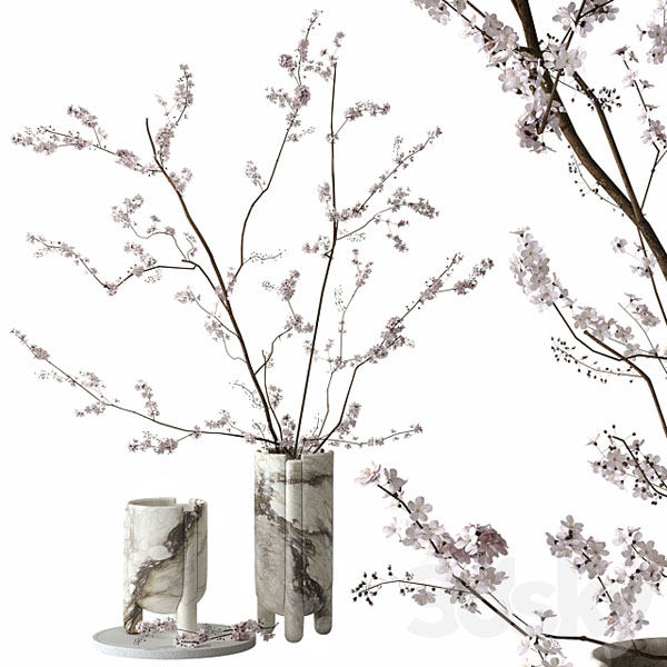 0206setdecori.jpg